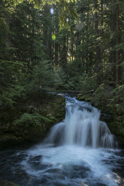 riverwindphotography: Whitehorse Falls in morning sunlight, Clearwater Creek, Umpqua National Forest