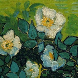 lonequixote:  Wild Roses (detail) by Vincent van Gogh (via @lonequixote) 