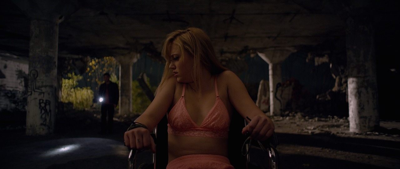 It follows film