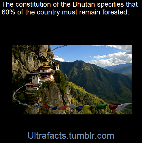ultrafacts:The Government itself pledges to protect, conserve and improve the pristine environment a