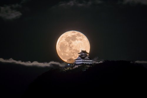 tanuki-kimono:Full moon over Inabayama-jo (castle of Gifu), fantasy-feeling for those breathtaking p