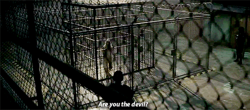 fuckyessuicidesquad:  “All you need to know is you work for me…”