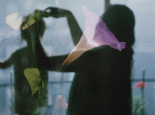 sesiondemadrugada:    Diaries Notes and Sketches (Jonas Mekas, 1969).