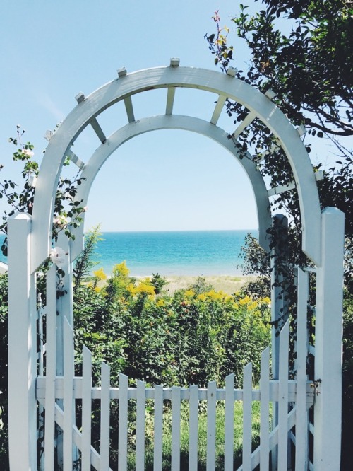 Missing Summer, Missing Nantucket