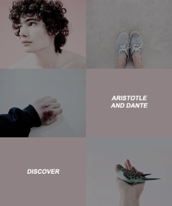 adarkling:  book aesthetics: aristotle and dante discover the secrets of the universe by benjamin alire saenz                                                      One summer night I fell asleep,                    