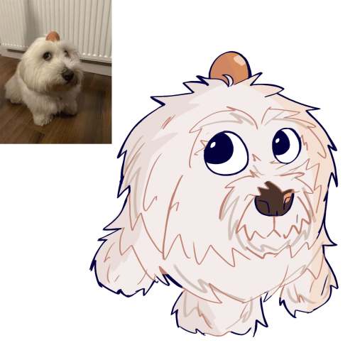 I Drew Some Animals