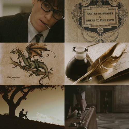 crazynifflers: Newt Scamander writing Fantastic Beasts and Where to Find Them || aesthetic || Please