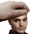 Here, So You All Can Pet Them