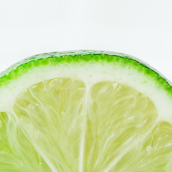 lepetitcorner:  Lime Macro 