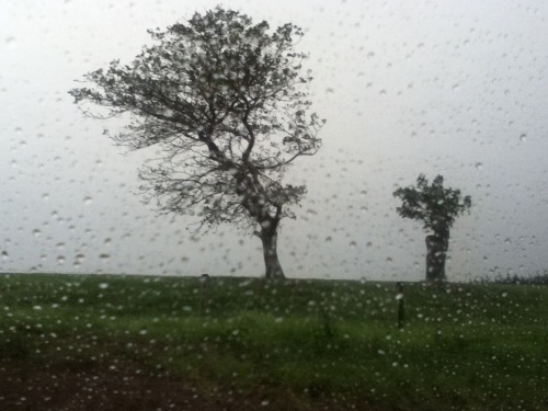 flirhty:  Lovely drives in the rain 