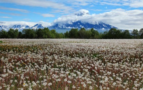 Summer in the Far East, Kamchatka Peninsula / Russia (by Natalie Fed).