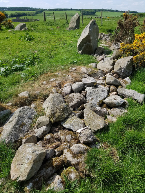 Strichen Recumbent Stone Circle, Strichen, Scotland, 29.5.18.This recumbent circle has been displace