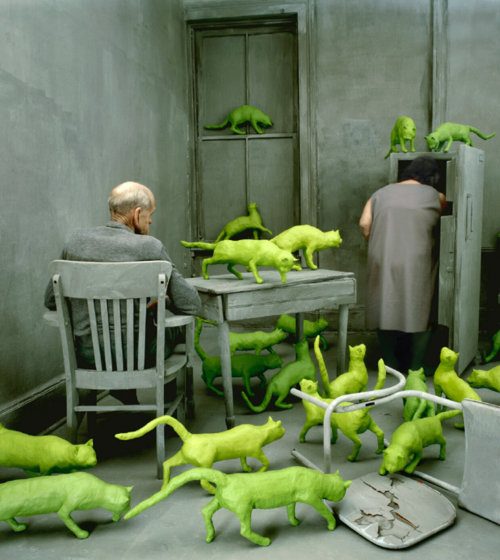 szymon: Sandy Skoglund