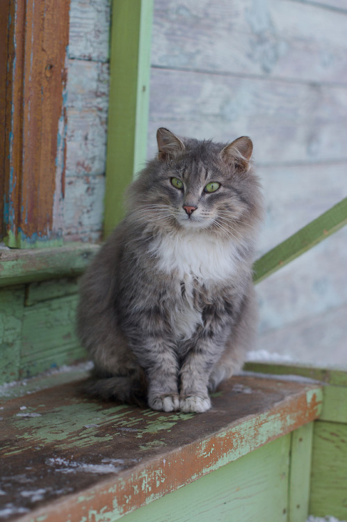 (via likephot)