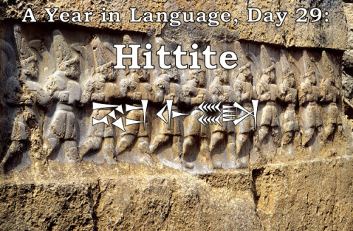 ayearinlanguage: A Year in Language, Day 29: Hittite Hittite is an ancient Indo-European language sp