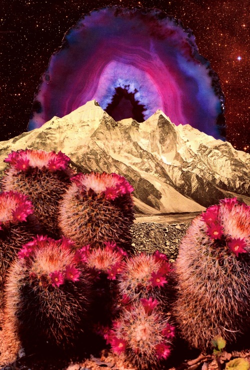 sandramolinaart: “Cactus Mountain” collage by Sandra Molina