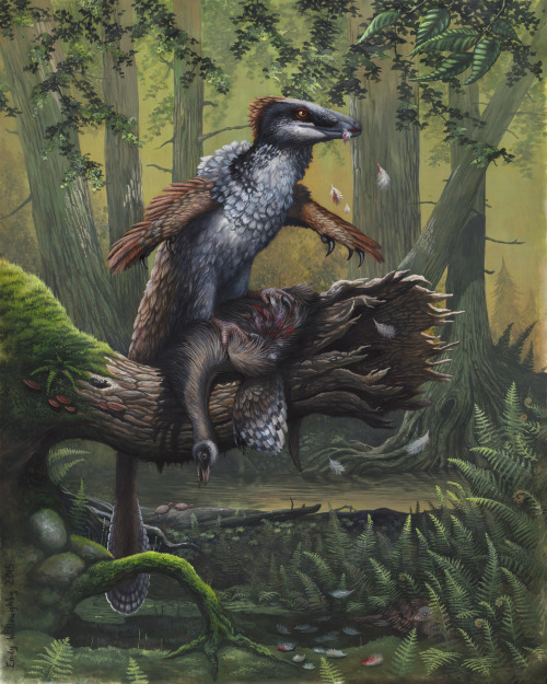 ewilloughby - Meet Dakotaraptor, the first “giant” dromaeosaur...