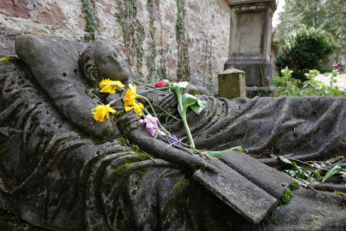 scavengedluxury:  Caroline Christine Walter died of tuberculosis aged 17 in 1867 and was buried in t