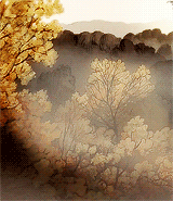 zireza:  🍂 A u t u m n : A New Beginning 🍂 “Steam rising underneath a canopy