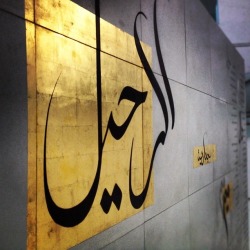  calligraphy Mahmood Darwish جدارية محمود درويش 