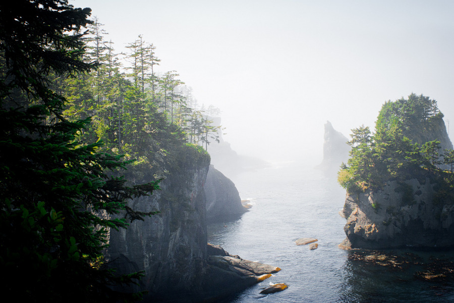 accio-forest:
“Cape Flattery by Joe Reynolds
”