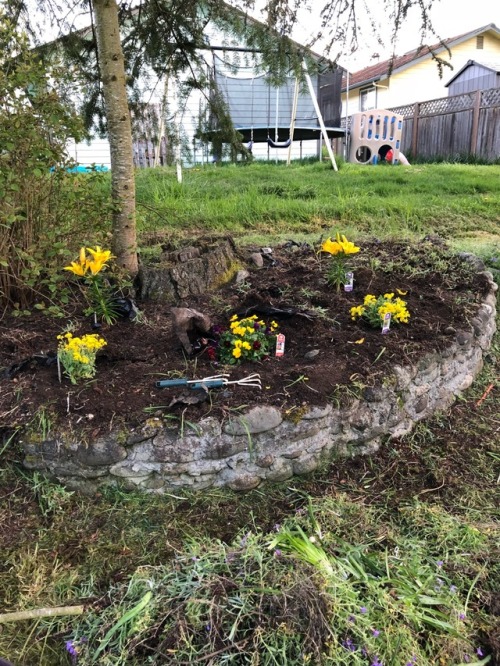 Put in a bunch of work on the yard today in memory of mom , turned the sadness into work. Planted some yellow for her ❤️