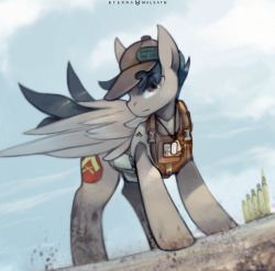 Lance Corporal HorseCommission for RonaldIt’s