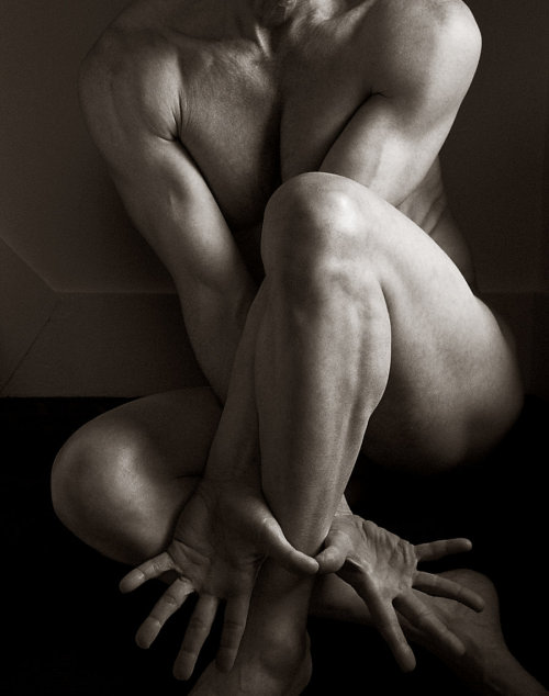 teophil:  menmenagerie:  a suasion of limbs II by gfriedberg  visit http://teophil.tumblr.com/archive 