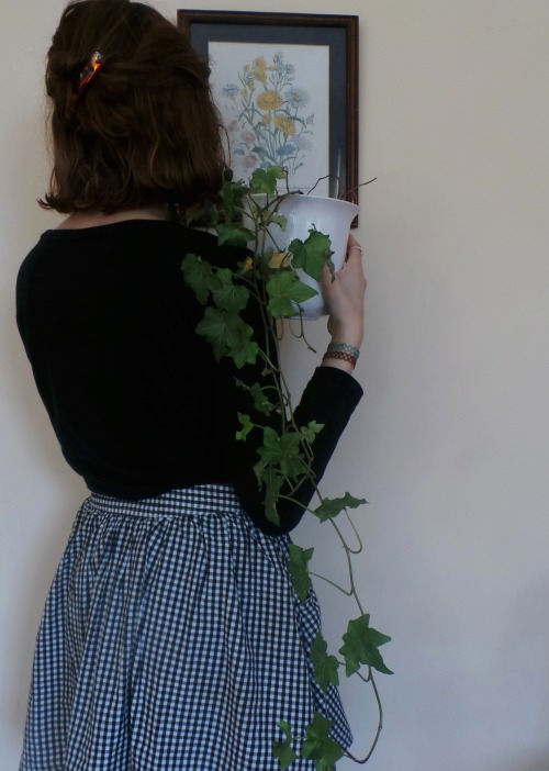 stefanysite:  RIP this plant :/ 