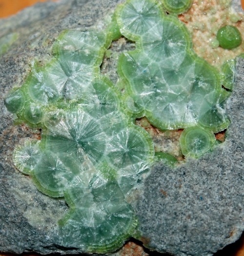 Wavellite from the Montgomery County Quarry (Mauldin Mountain), Arkansas.