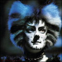 hysterical-cats avatar
