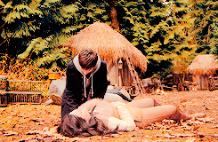 reginaslittleprince:  Regal Believer + fall/autumn colors