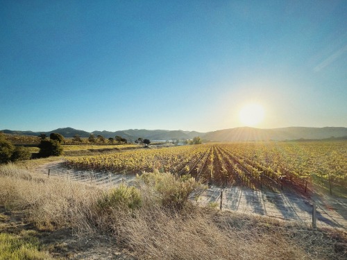 somewhere between los alamos and orcutt, ca.