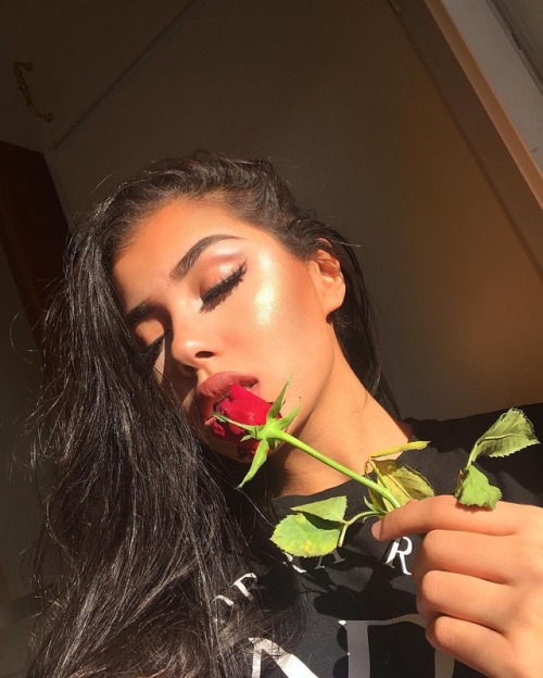 shawtie: shawtie
