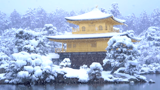 #kinkaku-ji#temple#kyoto#japon#japan#neige#snow#gif
