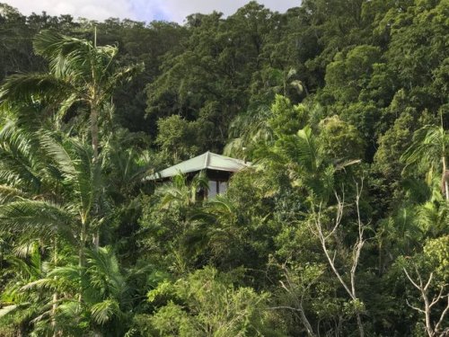 oceaniatropics:  Secrets on the Lake, Montville, Queensland, Australia