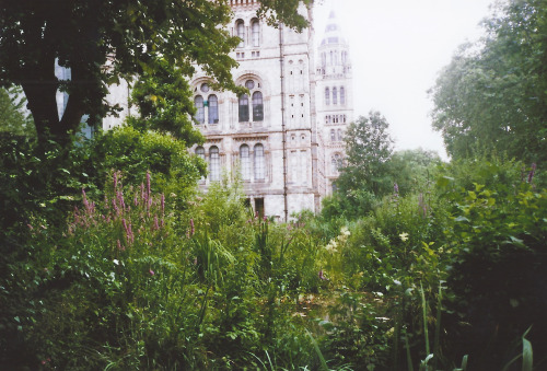 Green Spaces in London, 35mm film.