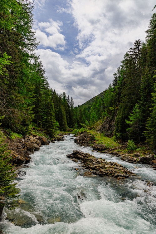 nature-hiking:  Forest stream 26-30/? - 26: Bohusleden, Sweden, April 202027:  Tour du Mont Blanc, June 2019  28:    Brabantse Vennenpad, The Netherlands, December 2020  29 & 30:  Haute Route Pyreneenne, August 2019  photo by nature-hiking