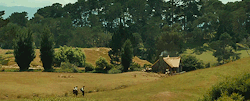 shiremaiden:  30 DAY LOTR CHALLENGE | Day 17 ➼ Scenery appreciation “Home is behind, the world ahead.” 
