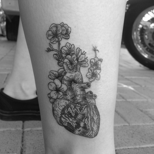 Anatomical heart with cherry blossom By @alexandyrvalentine