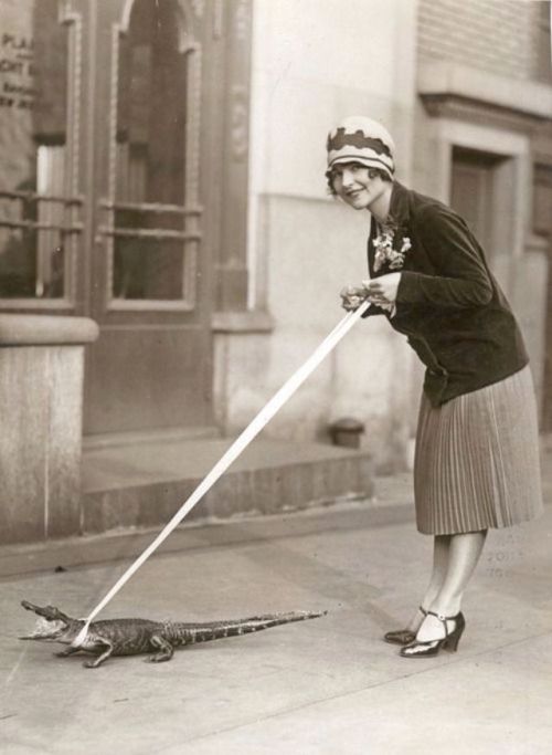 my-retro-vintage:American actress Gladys Brockwell walking with Alligator   1920s