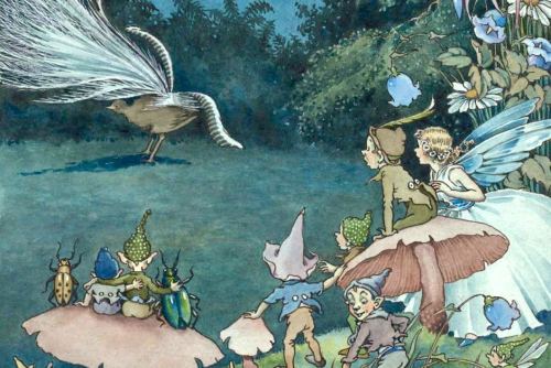 Works by Ida Rentoul Outhwaite, an Australian illustrator of children&rsquo;s books of fairies. 