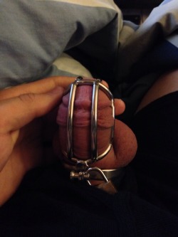 babydicksgirlfriend:  Locked exactly how it should be 