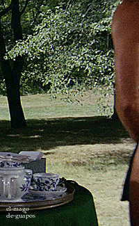 Porn Pics Burt LancasterThe Swimmer (1968)