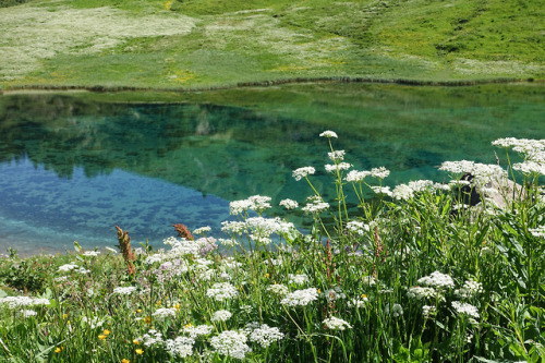 Lac des fées by Benoît Deniaud