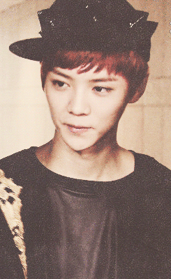 leuhans:   luhan looking adorable in his