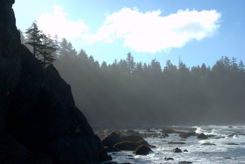 Point of ArchesShi Shi Beach, WA