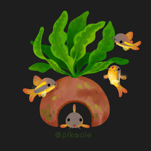 pikaole: Fresh water fish and plants [ Patreon / twitter / insta / shop / print / teepublic / LINE / Galaxy / iMessage ] 