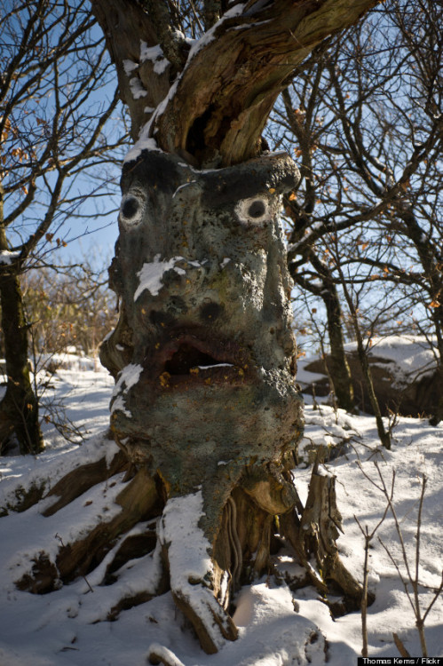 aslantedview: Abandoned Wizard of Oz theme park (available for rent). 