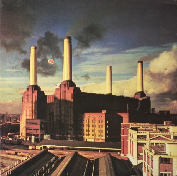 dougiefromscotland: Pink Floyd  are to rehome a giant inflatable pig which featured